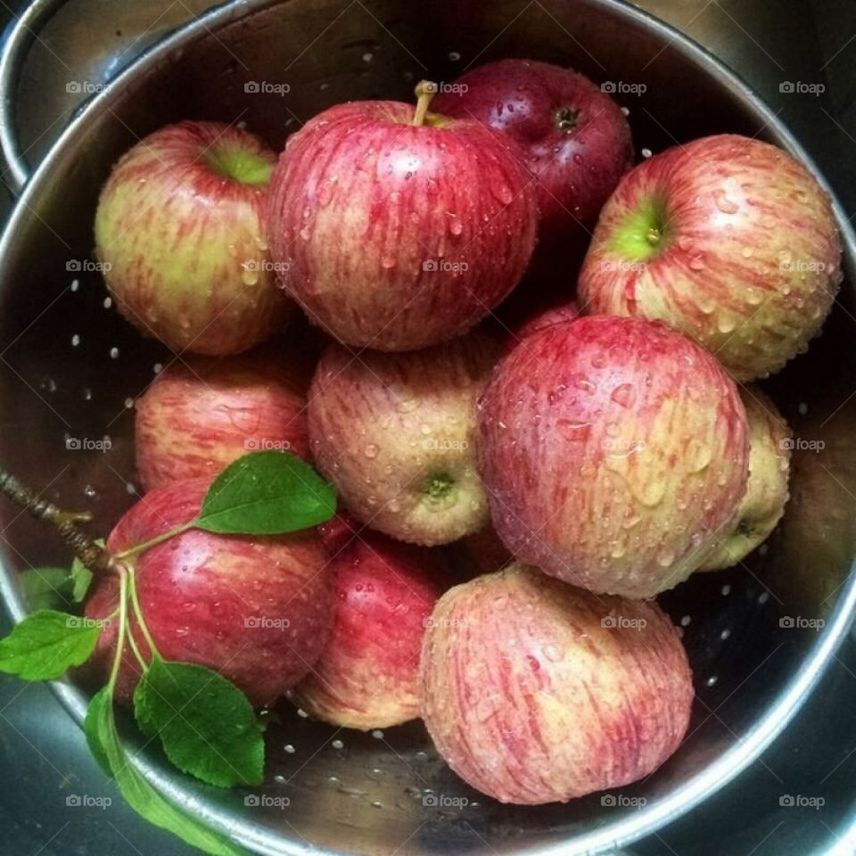 Fresh-picked Apples . Fresh-picked orchard apples rinsed and ready to eat