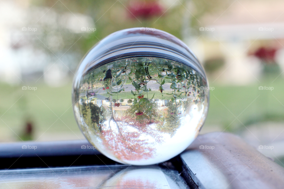 Nature through the glass ball. 