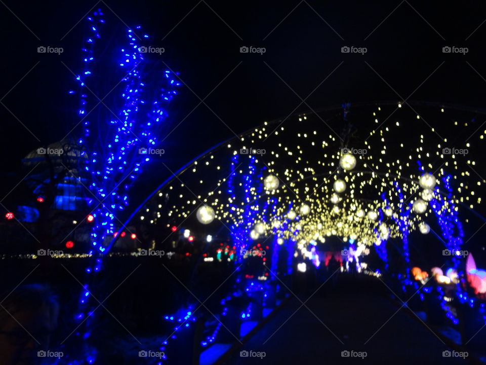 Blue and White Light Arch