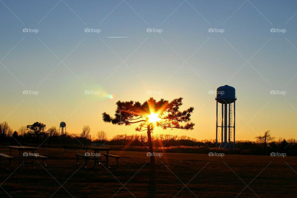 Sunset Silhouette with Tree and Water Towers