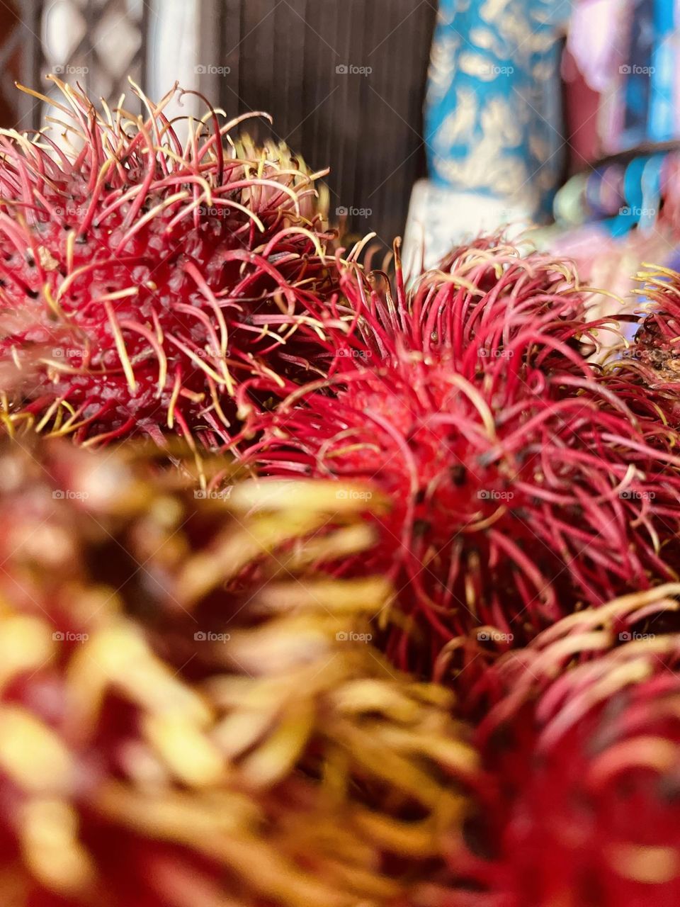 Rambutan fruit