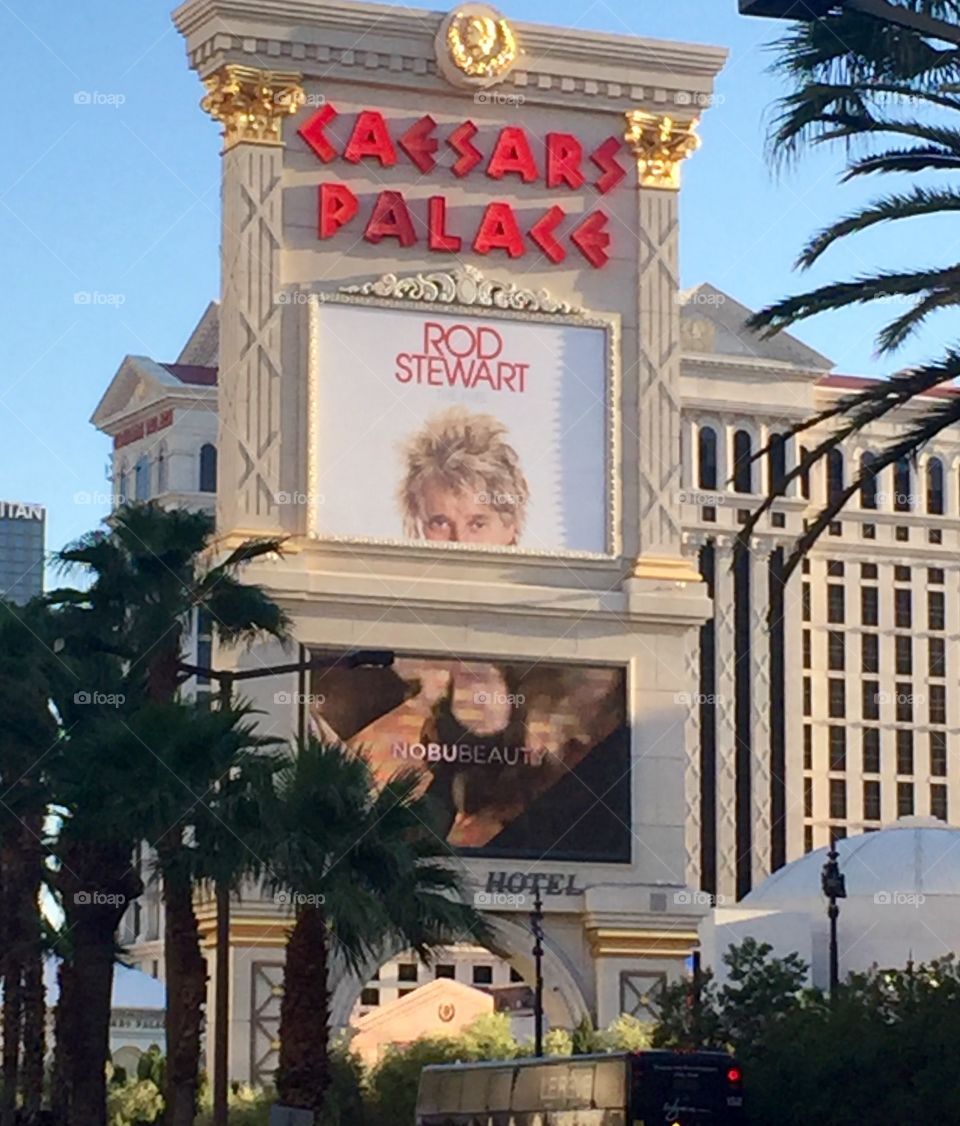 Cesar's Palace