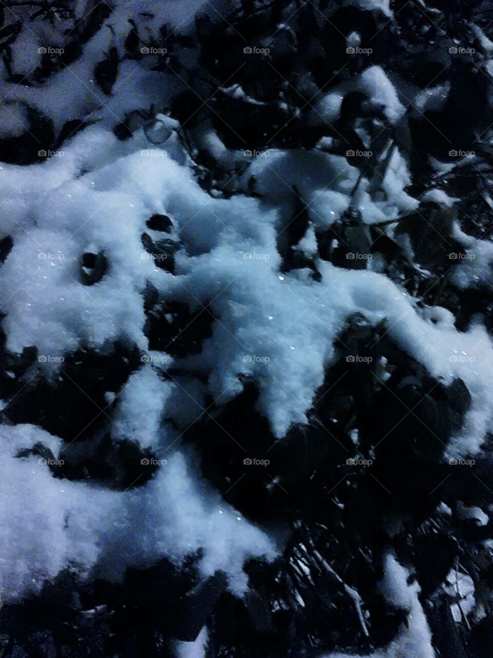 snow