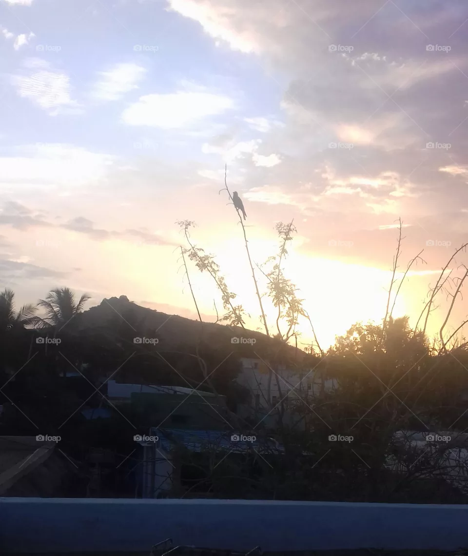 beauty of nature
