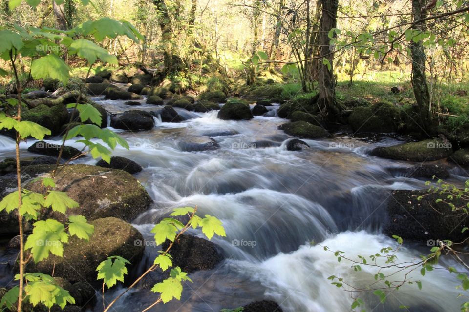 River Bovey