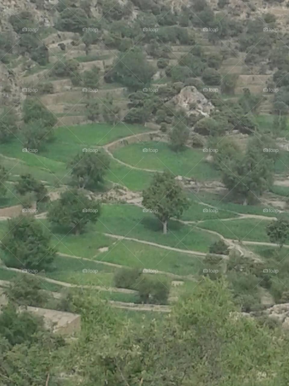 Glory be to God, the magnificent and picturesque view and the natural green trees are a view that is nothing more wonderful than it