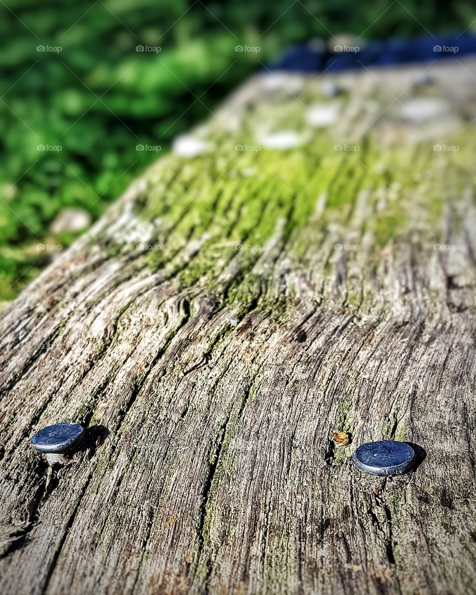 Nail heads on a mossy stile. English countryside.