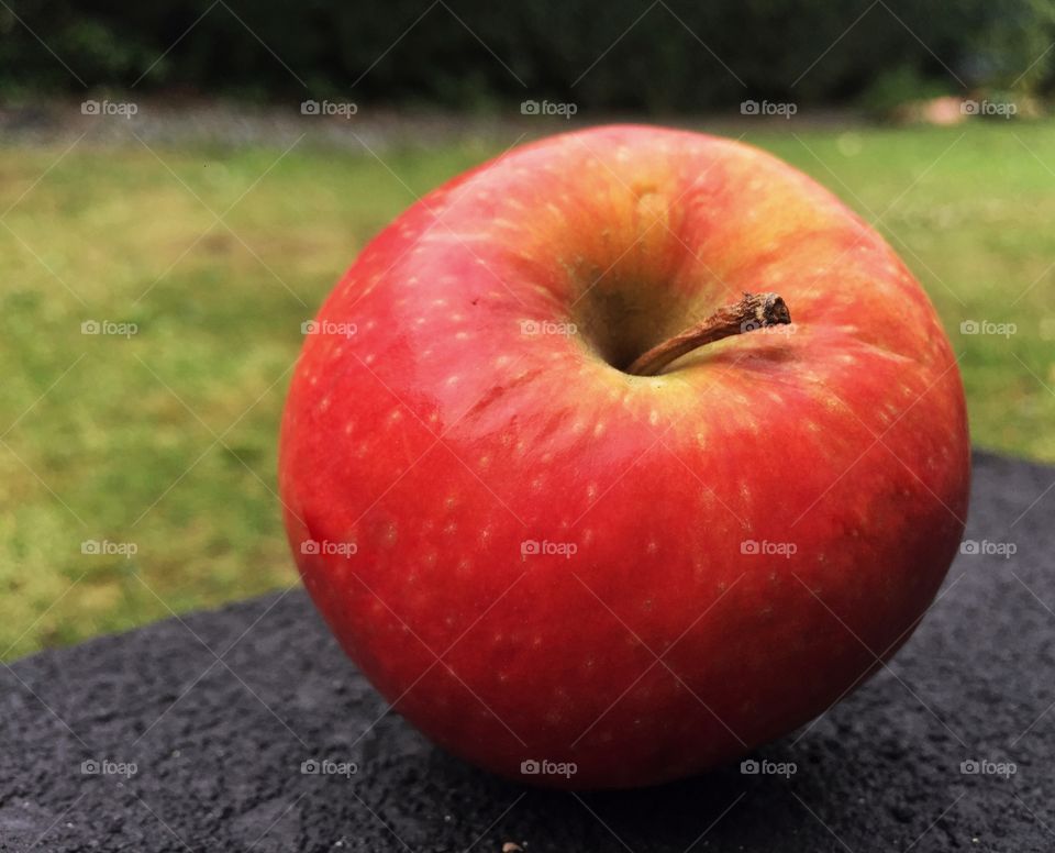 Single apple on rock