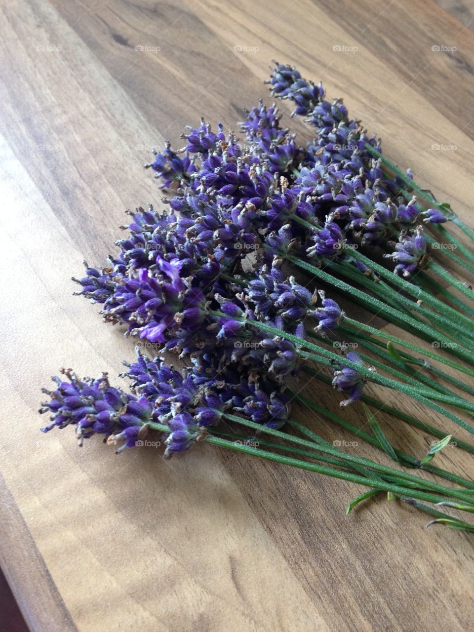 Bunch of purple homegrown lavender flower stems cut by hand