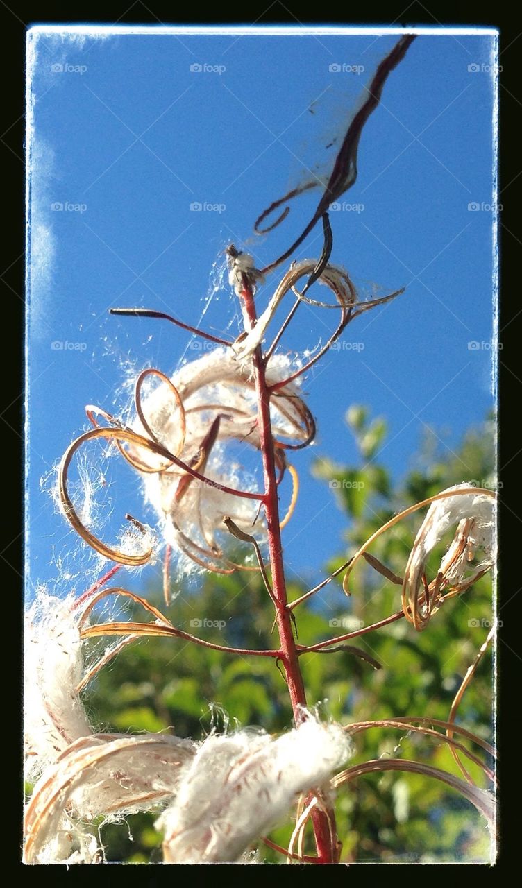 sweden fall blue sky höst by smartini65