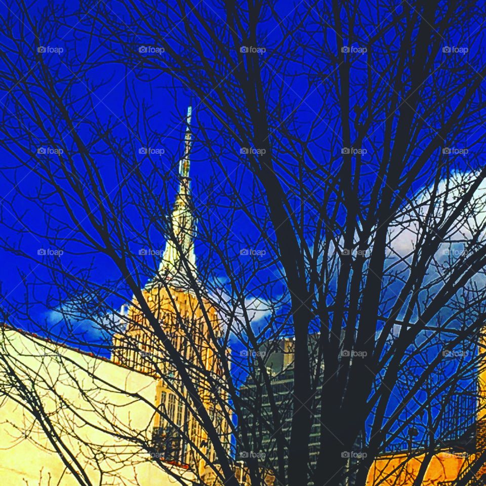 Empire State Building 