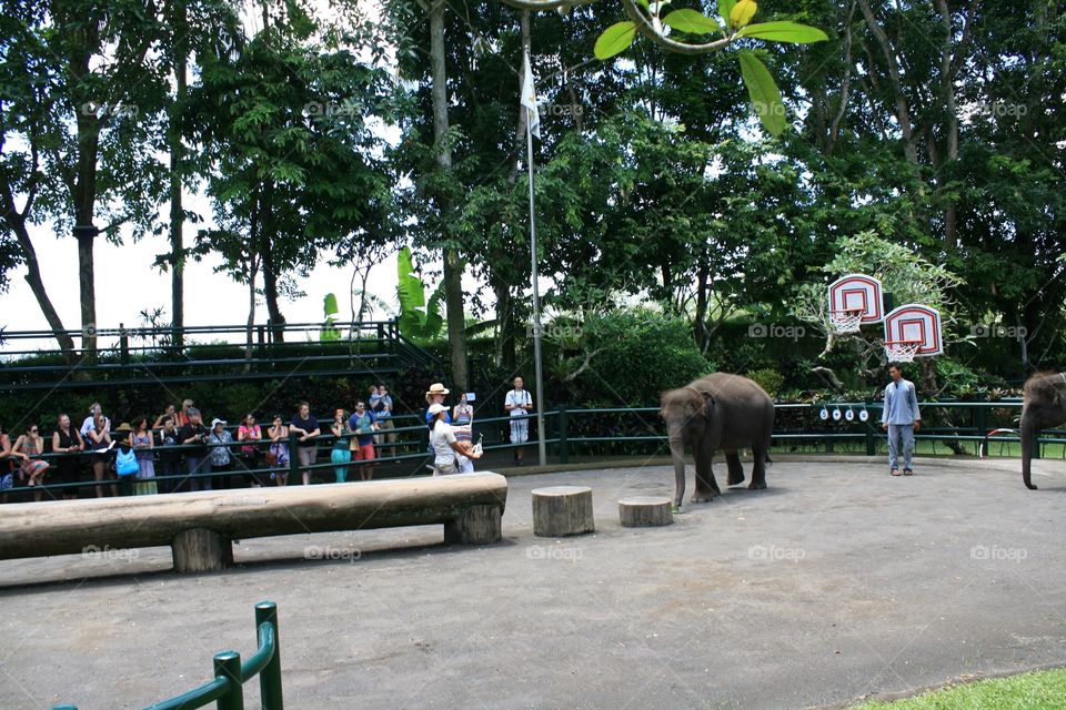 zoo