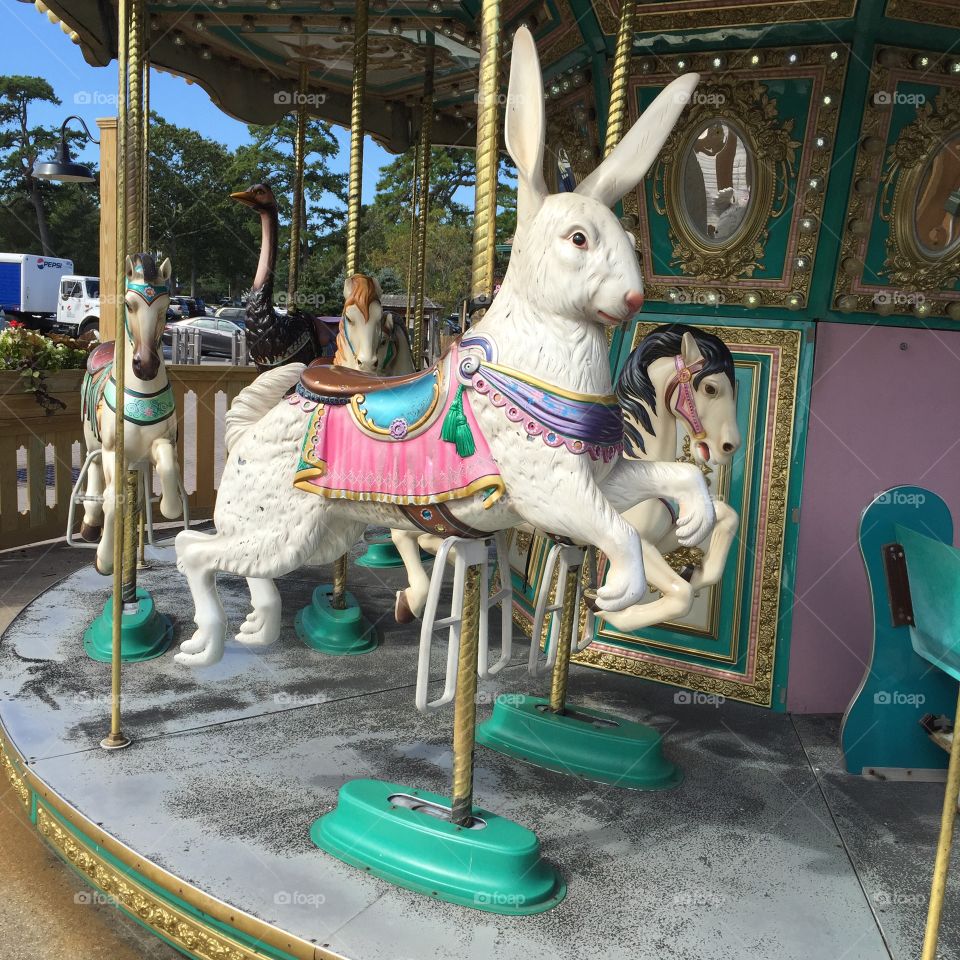 Carousel
