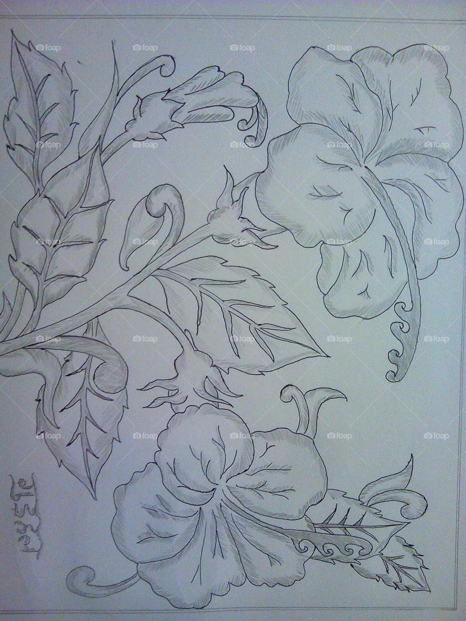 Drawing (pancil shad ) Available in india (indian Flower)