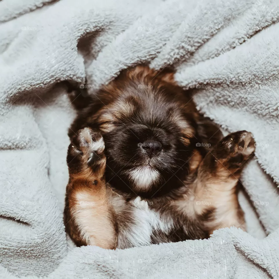 Life whit pets.

Sometimes the smallest things take up more space in your heart 💗