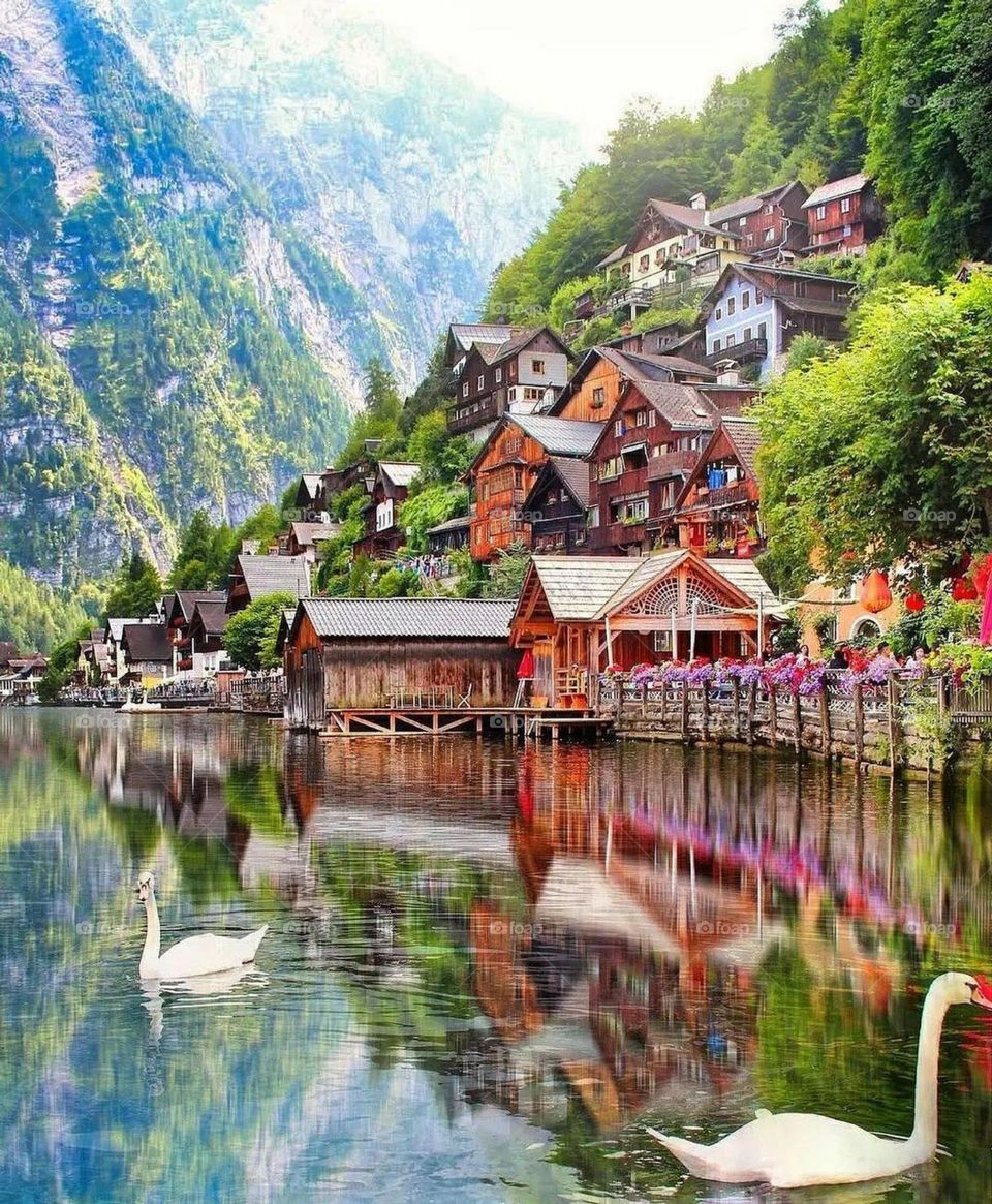 🥰Hallstatter see