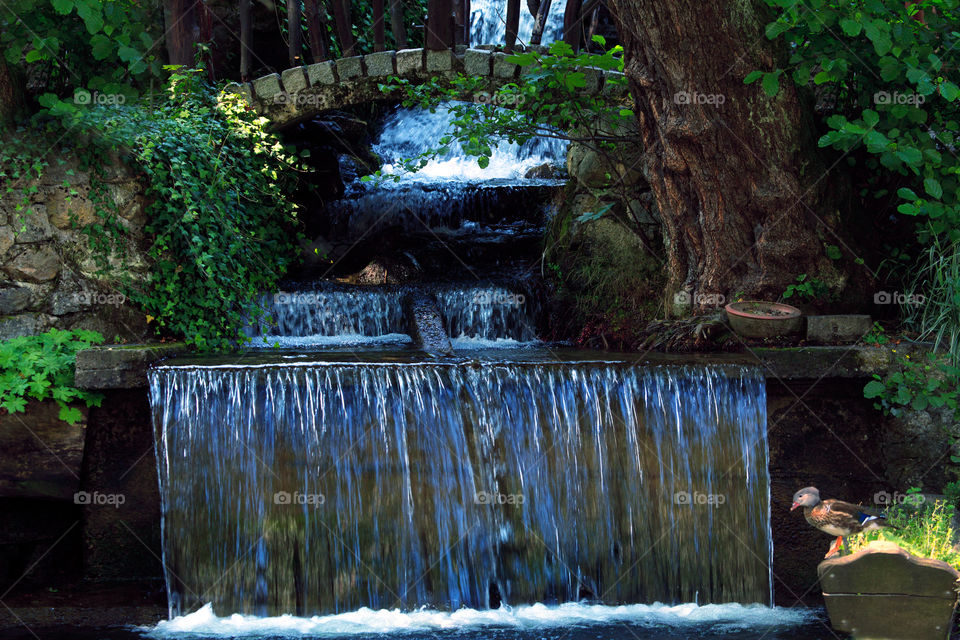 Small decorative waterfall surrounded by green plants and dugs 