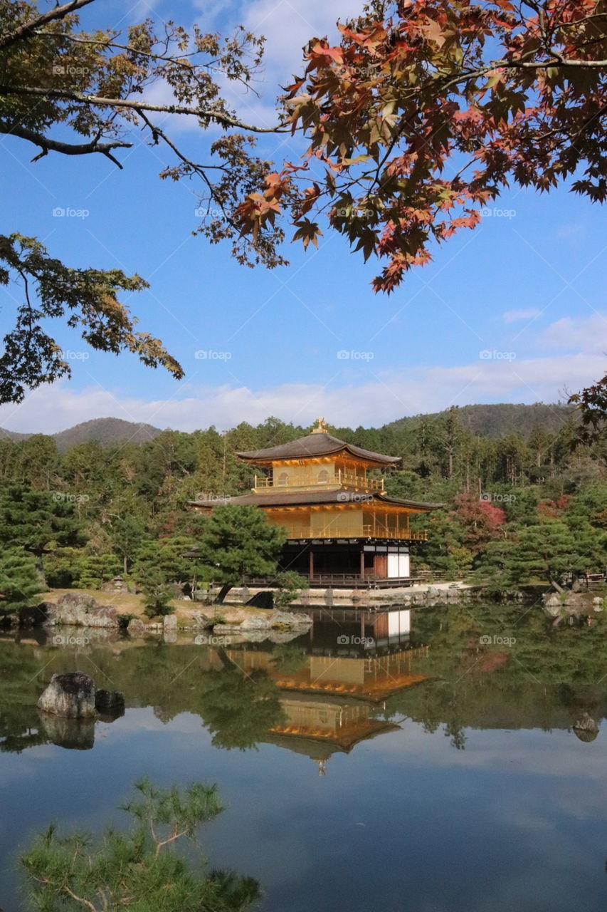 Golden Temple in Kyoto 