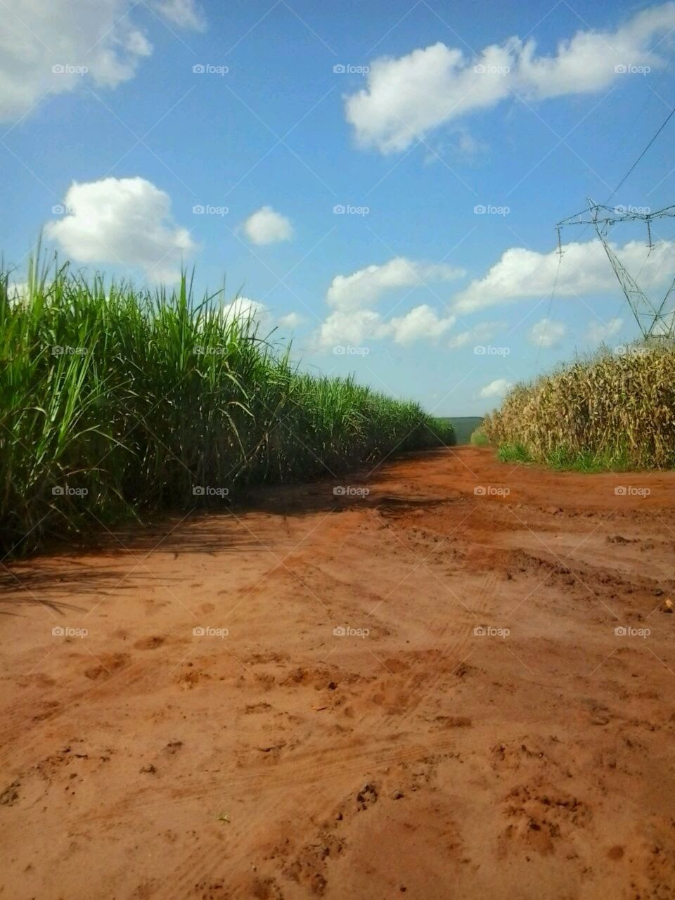 paisagem