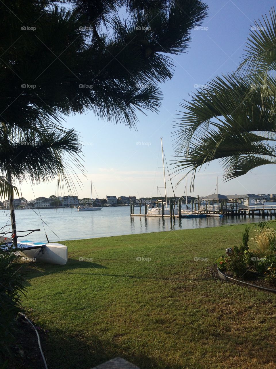 A tranquil place at the yacht club 