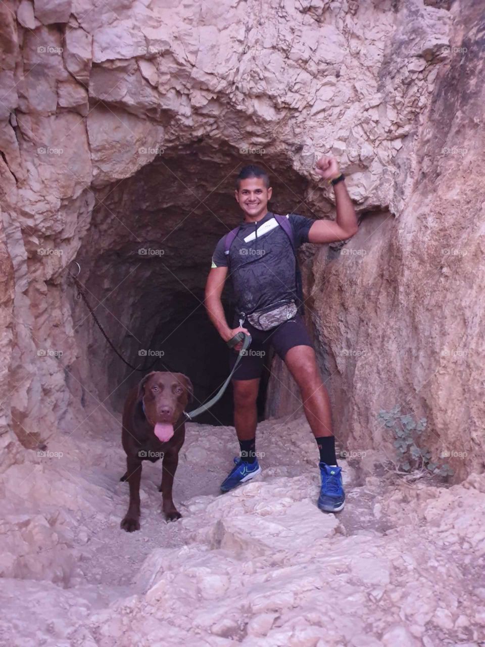 Rock#labrador#dog#pet#human#exploring