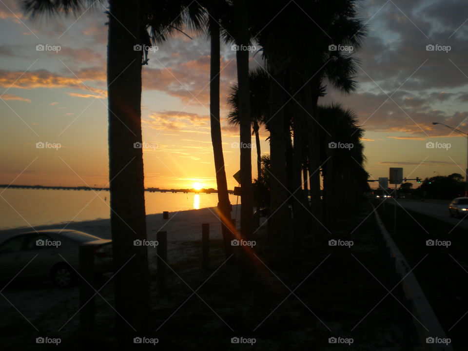 The sun sets over the water, as seen from the side of the road through a line of palm trees. Car headlights are seen in the distance.