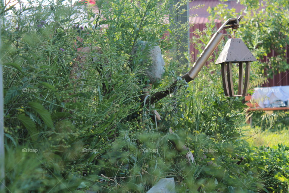 Волшебство. Из травы выходит существо. Выходитство существо с фонарем. Идея для фэнтэзи картинок. Каменное лицо.