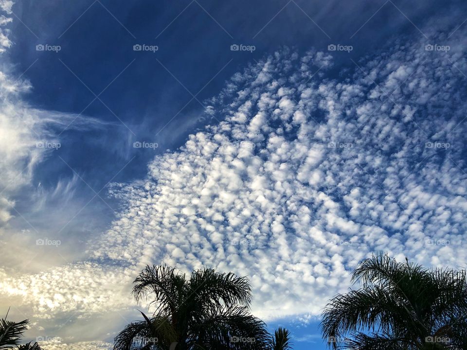 A very different cloud formation in the deep blue of the sky in an Autumn Day afternoon, almost sunset...