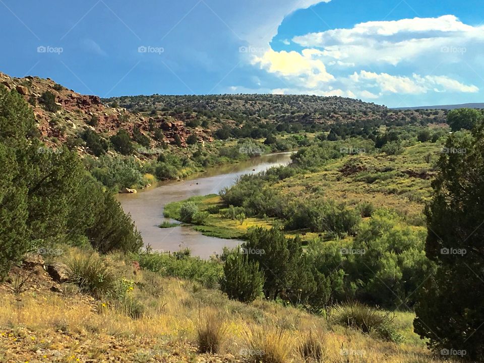 Rolling down the river