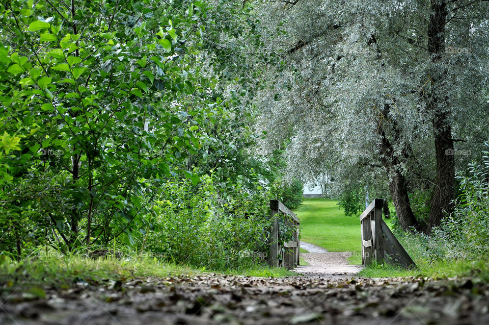 Trackway and wooden bridge in the park.