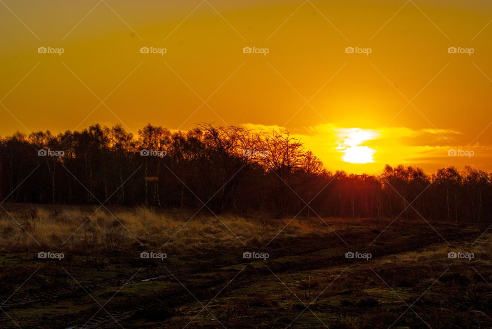 Buxton heath sunrise