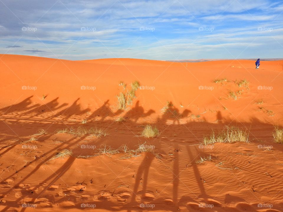 Camel ride in the Sahara desert