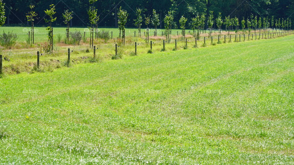 Farmland in Belgium