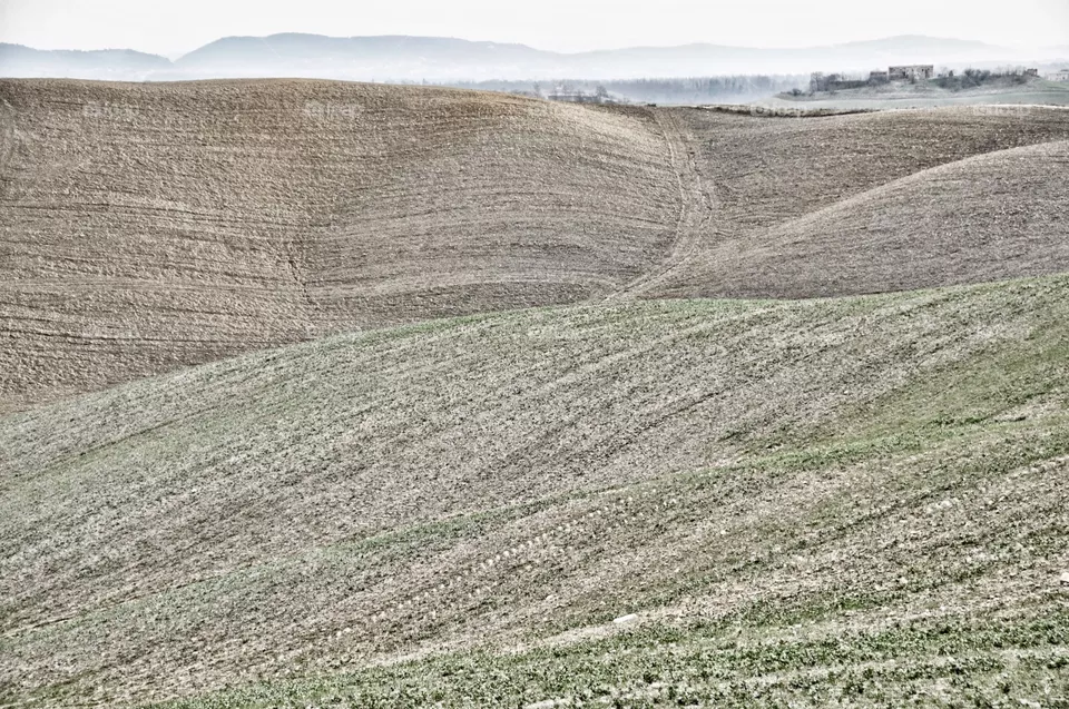 Field 