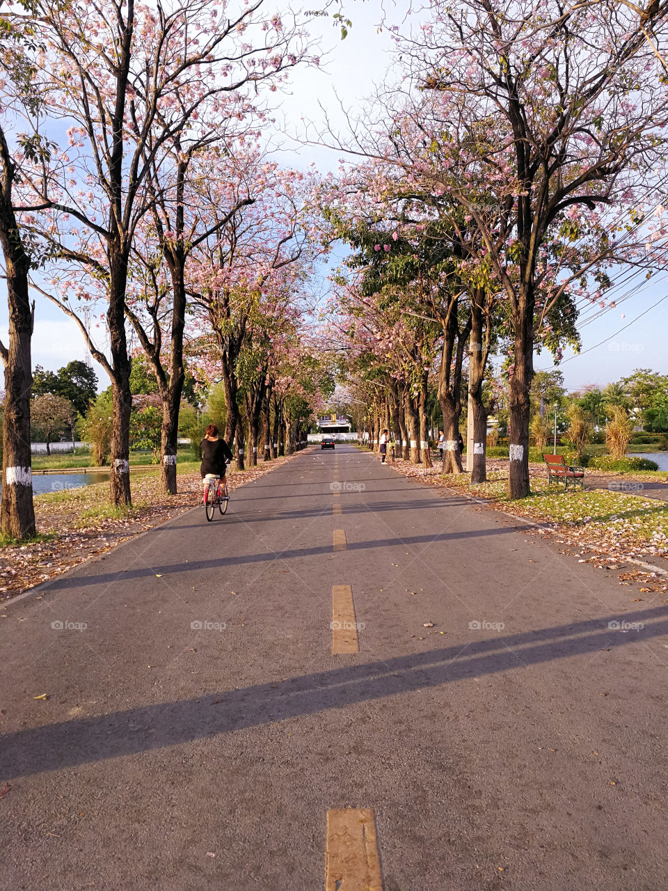 Natural road