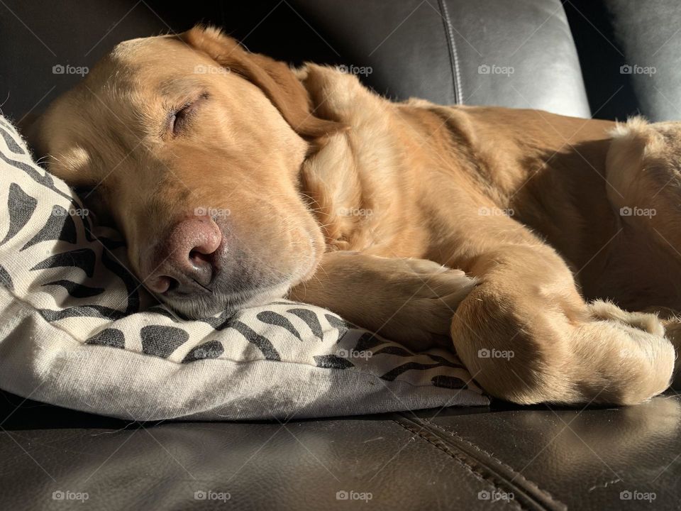 Editor’s choice: Photo of the Week