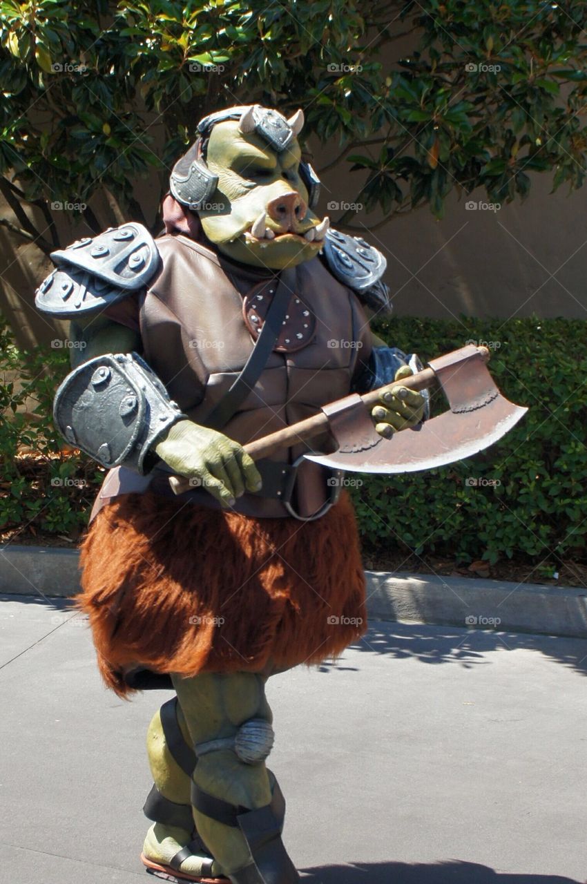 Gamorrean Guard from Star Wars
