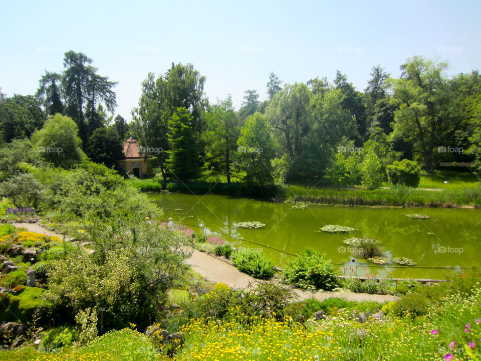 Landscape, Nature, Tree, Grass, Summer