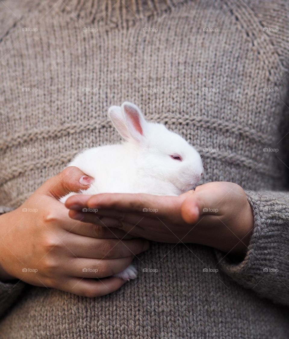 Little white fluffy rabbit in hands, happy Easter concept 