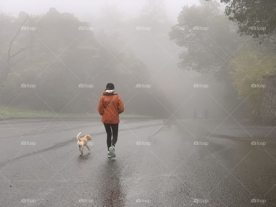 Woman walking her dog downhill on a foggy autumnal day 