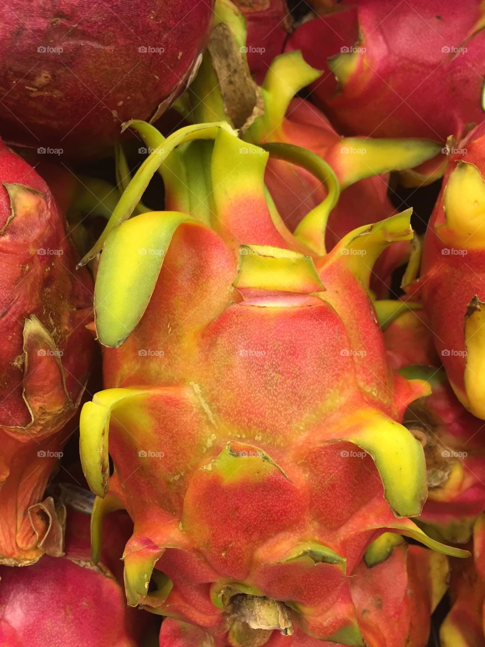 Dragon fruit