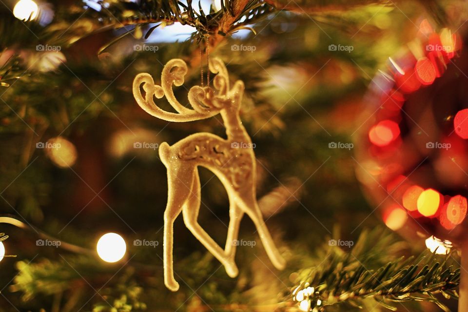 Christmas reindeer jumping in the tree