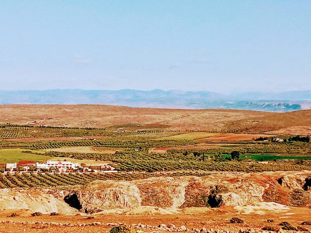 Beautiful Landscape