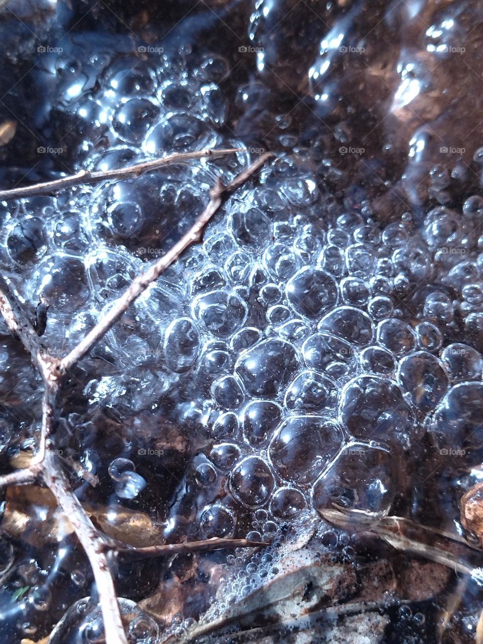 Bubbles of water