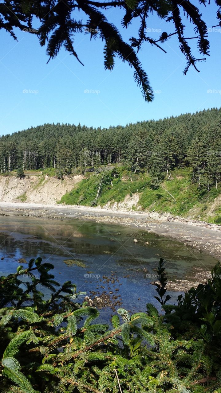 Cape Arago Beach