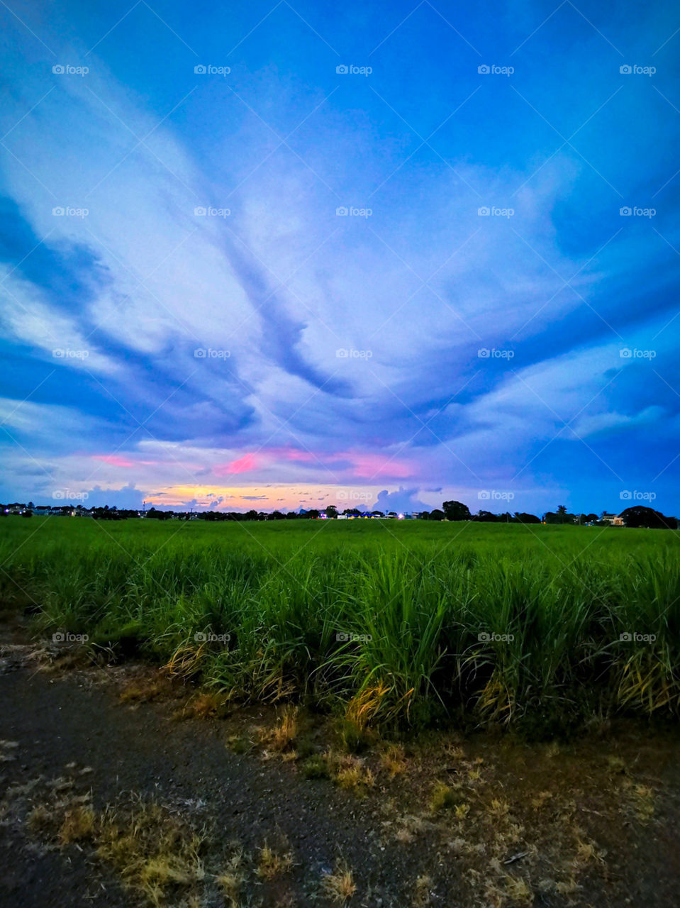 The blue sky after sunset