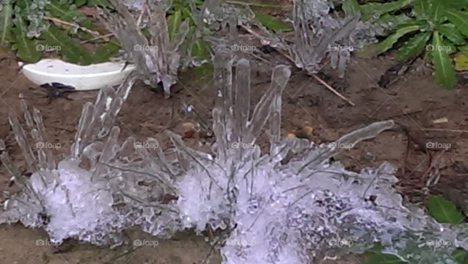 Icicles on the grass