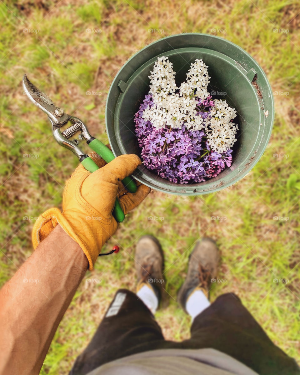 Bring home some good smell from the nature