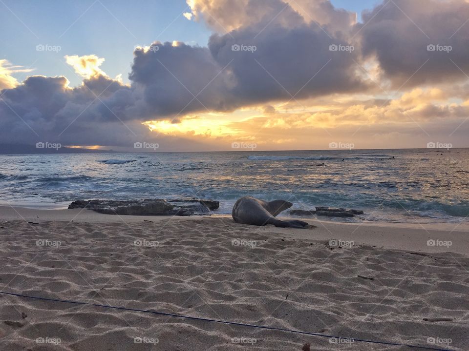 Seal sunset beach. Beautiful sunset at a beach in Maui