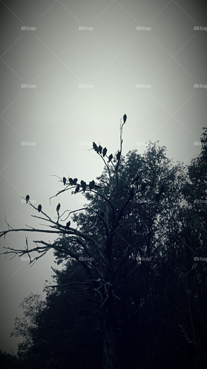 the family that hunts together